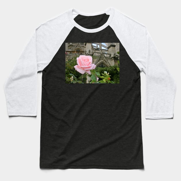 Paris Notre Dame de Paris Pink Rose Bush Baseball T-Shirt by BlackBeret